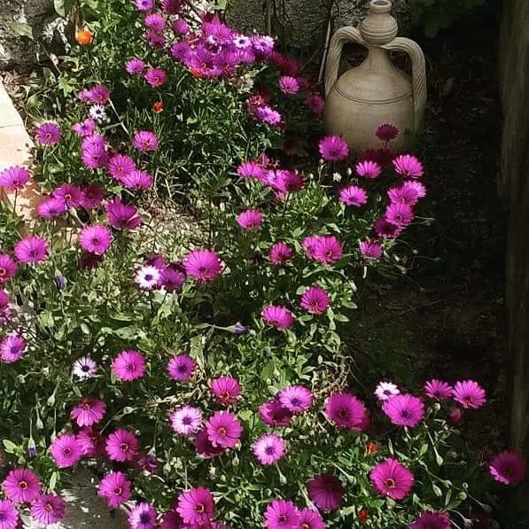 Ai Tre Limoni Bed and Breakfast Varazze Zewnętrze zdjęcie